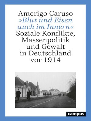 cover image of »Blut und Eisen auch im Innern«